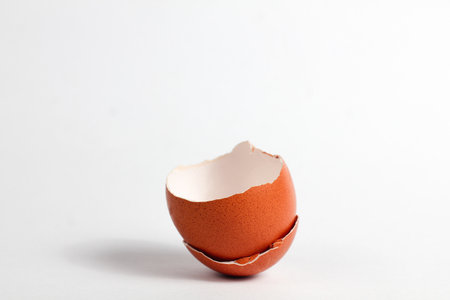 Broken eggshell isolated on white background. Copy space for text.