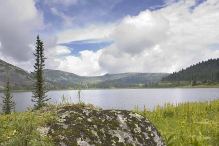 Kind on mountain lake. A stone with a lichen in the foreground.の写真素材