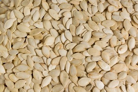 background of dried seeds of a pumpkinの写真素材