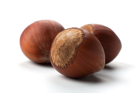 macro picture of three hazelnuts in white background