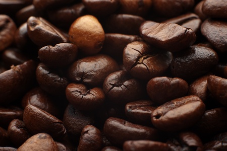 the background of coffee beans close upの写真素材