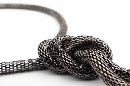 Chain the snake with unit on a white background it is isolatedの写真素材