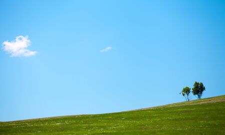 Green summer meadow and over the blue sky with cloudの写真素材