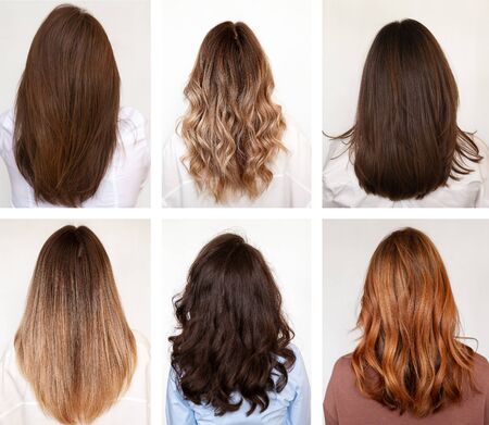 Six women with long hair and hairstyles, rear view.の写真素材