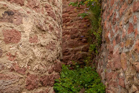 Brick wall of an old ashlar castle.の写真素材