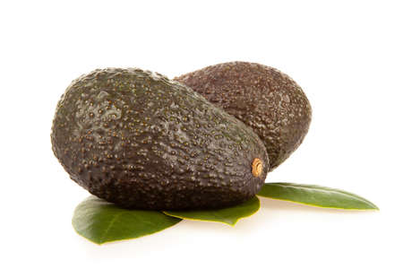 Avocado on a white background is isolated.の写真素材
