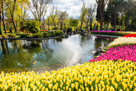 ISTANBUL, TURKEY - APRIL 10, 2019: Istanbul Tulip Festival in Emirgan Park. Colorful tulips in the garden. Istanbul Turkey.のeditorial素材