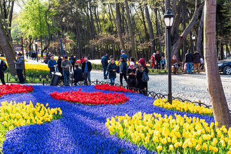ISTANBUL, TURKEY - APRIL 10, 2019: Istanbul Tulip Festival in Emirgan Park. Colorful tulips in the garden. Istanbul Turkey.のeditorial素材