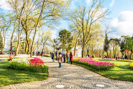 ISTANBUL, TURKEY - APRIL 10, 2019: Istanbul Tulip Festival in Emirgan Park. Colorful tulips in the...