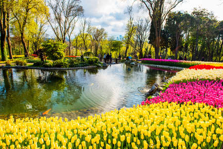 ISTANBUL, TURKEY - APRIL 10, 2019: Istanbul Tulip Festival in Emirgan Park. Colorful tulips in the garden. Istanbul Turkey.のeditorial素材