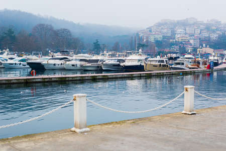 ISTANBUL, TURKEY - FEBRUARY 5, 2021: YenikÃ¶y Istinye Marina in Istanbul, Turkey.のeditorial素材