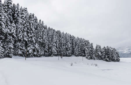 ABANT LAKE NATURE PARK in Bolu, Turkey. (English: Abant Golu Nature Park). Beautiful winter landscape at Abant Lake.の写真素材