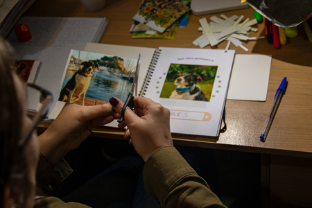 looking at pictures on the desk and cutting themの写真素材