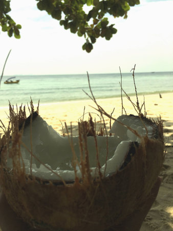 Coconut on the beachの素材