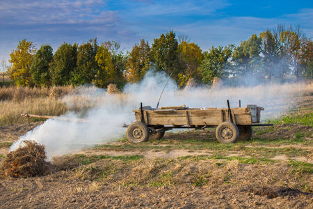 wooden cart in a fieldの写真素材