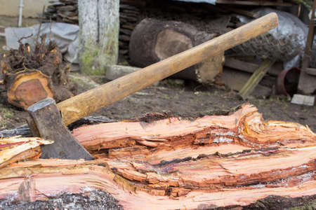 ax in wood
