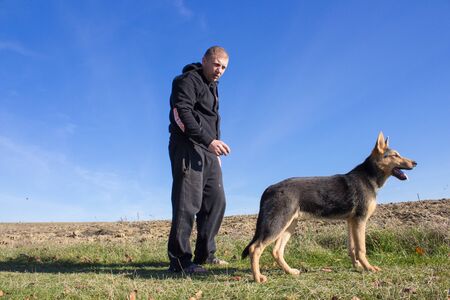 man in nature in the field of dog breed shepherdの写真素材