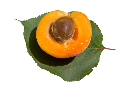 apricot fruits with green leaf and cut isolated on white backgroundの写真素材