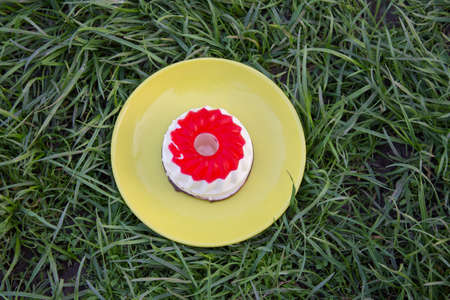 cookie plate on the grassの写真素材