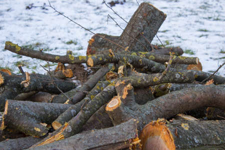 fire wood winter