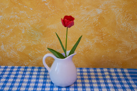 vase with a flower on the table,one tulip in a vase on a blue tableclothの写真素材