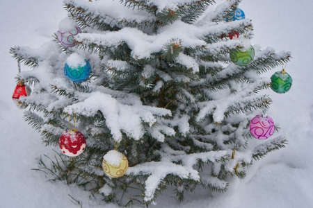 small Christmas tree decorated with layers in the snow