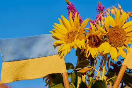 blue and yellow flag with a bouquet of flowers in the blue sky, Victory of Ukraine