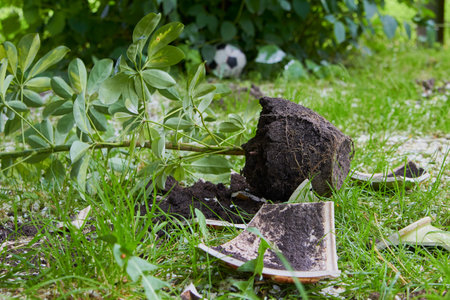 broken flower pot in the garden in spring