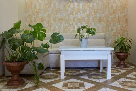 a luxurious cozy living room with a sofa, a white table and indoor flowersの写真素材