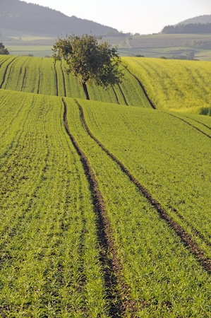 Fieldの写真素材