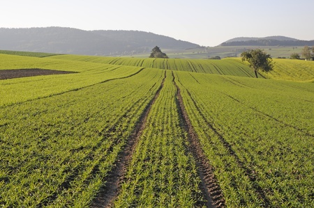 Fieldの写真素材