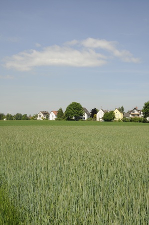 field and housesの写真素材