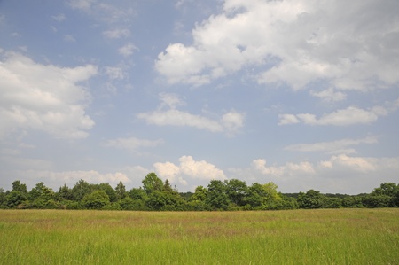 meadow with cloudsの写真素材