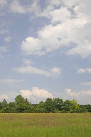 meadow with cloudsの写真素材