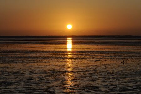 sunsetの写真素材