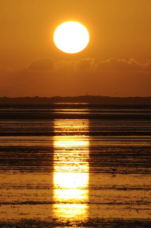 sunsetの写真素材