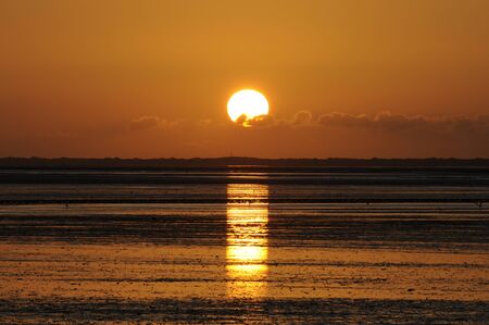 sunsetの写真素材