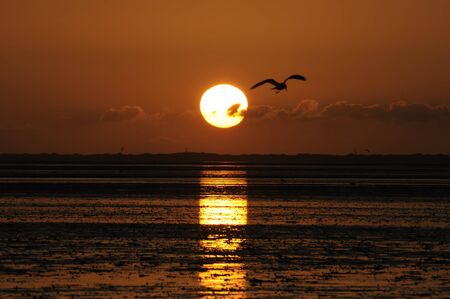sunsetの写真素材