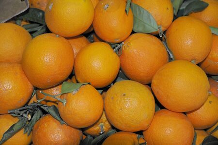orangesの写真素材