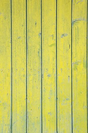 green boardの写真素材