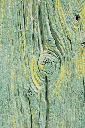 green boardの写真素材