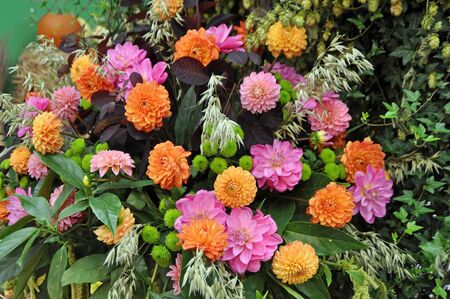 Floral Arrangementの写真素材