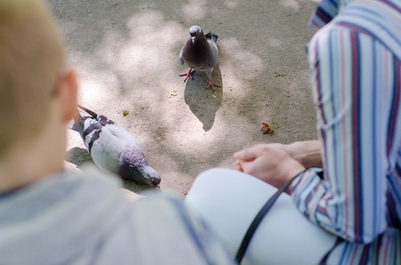 young mother and her son feeding pigeons in the parkの写真素材