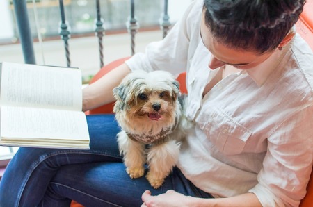 Young woman with a small dog and bookの写真素材