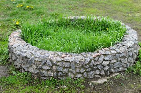 Green fresh Nature in the city parkの写真素材