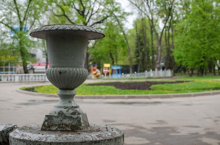 Green trees in the park of the cityの写真素材