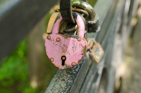 Romantic locks on the bridge in the parkの写真素材