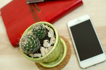 Set of cactus, cellphone and the daily planner on the wooden backgroundの写真素材
