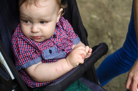 Small baby boy in the carriage in the park