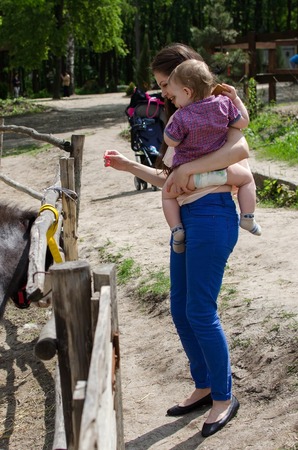 Young mother is walking with her small child in the parkの写真素材
